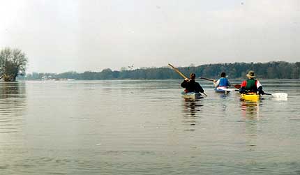 Drei Paddler