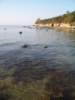 Photo Number 3